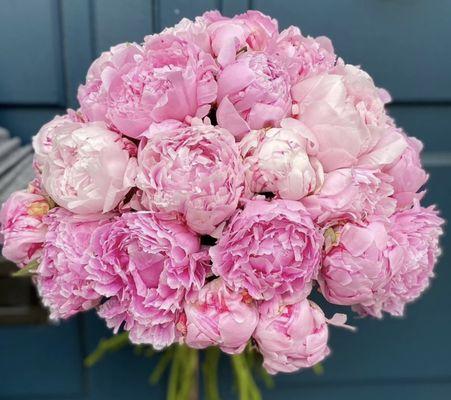 2 dozen Pink Peonies