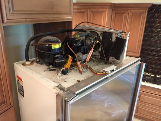 Fridge Repair Service