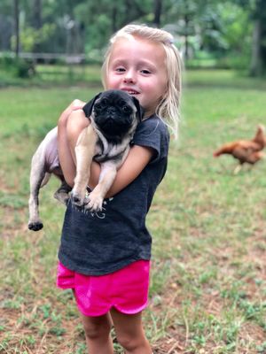 Campbell Farm Kennels