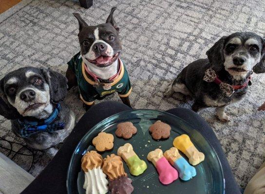 Bow ties, football jerseys and treats! Spoiled babies