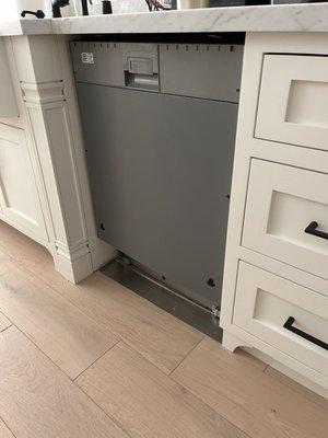 dishwasher with no panel