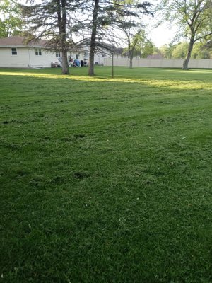 Yard after cut