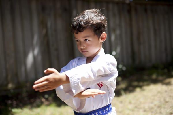 Tiger Taekwondo