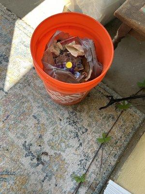 Bucket of junk food wrappers from Bachrodt Elementary School blown into my yard