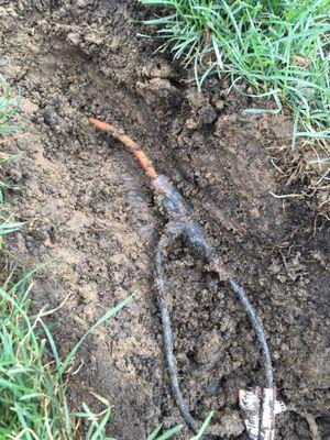 Illegally installed sump pump wiring