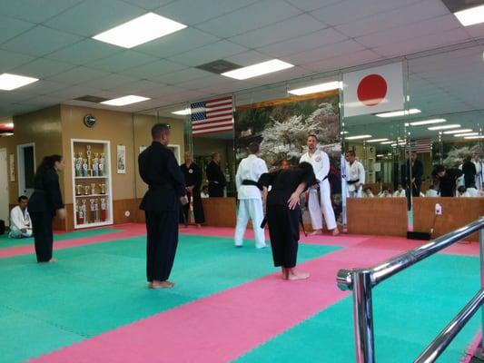 These are the black belts performing some beautiful katas