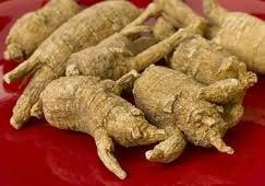 american ginseng