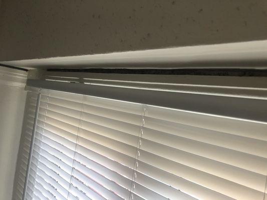 Mold in between the blinds that support the blinds