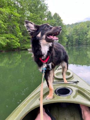 Personal kayaks were a hit with us and the dog.