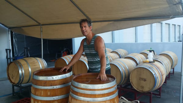 Cleaning of the barrels