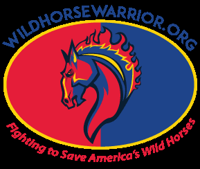 Wild Horse Warrior