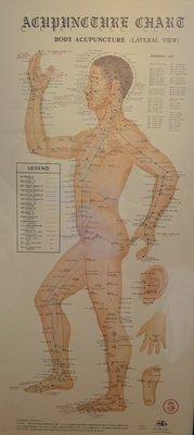 Acupuncture Meridians