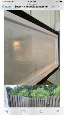 Microwave door