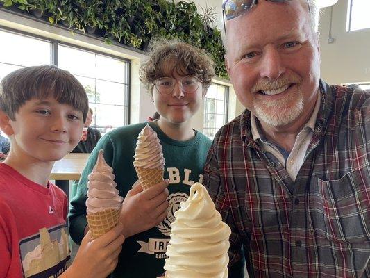 Raspberry, Twitch and Maple cones (L to R)