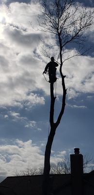 All Points Tree Service