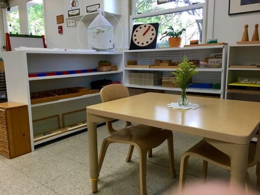 Montessori School of Alexandria has Primary and Elementary classrooms for children 3 - 12 years old. We were established in 1970 in NOVA