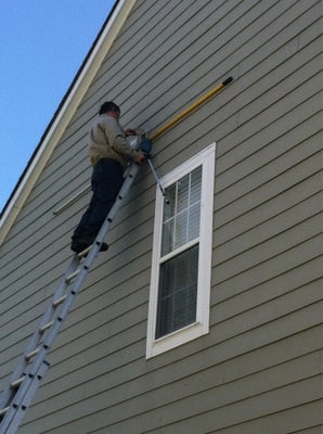 Removing birds from exhaust vent