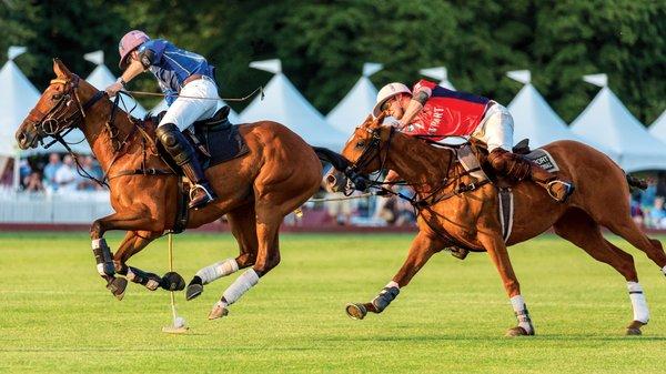 Newport defends against Palm Beach during a Newport International Polo Series public exhibition match.