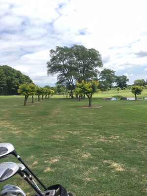 Valley Green Golf Course & Lounge