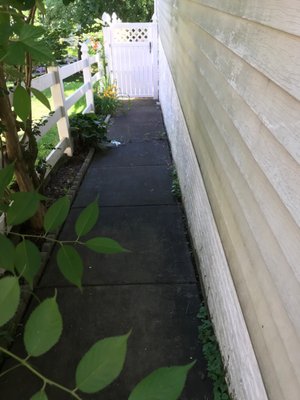 Pressure Washing Project