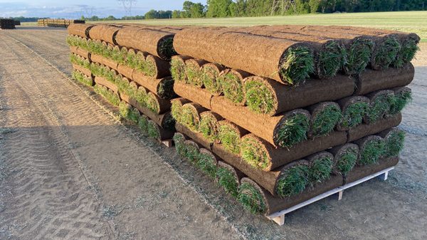 Clarksville Sod Farms