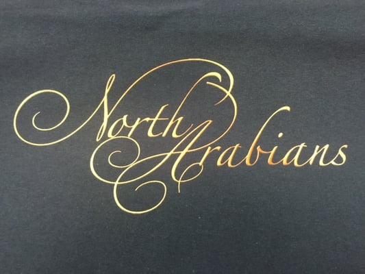 Here is a Direct to Garment sample with beautiful gradations within the text.