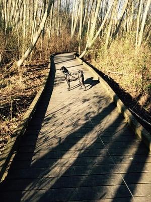 Wooden Trails...... Cool !!