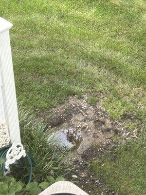 Just another photo of the swamp and erosion/future sinkhole