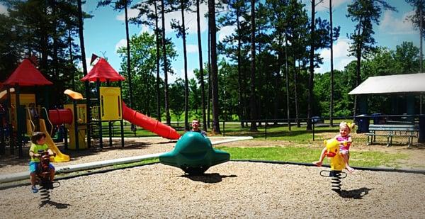 Part of Hokes Bluff Park's Playground