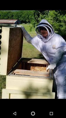 Tina with Lazutin stationary hive