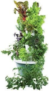 tower garden