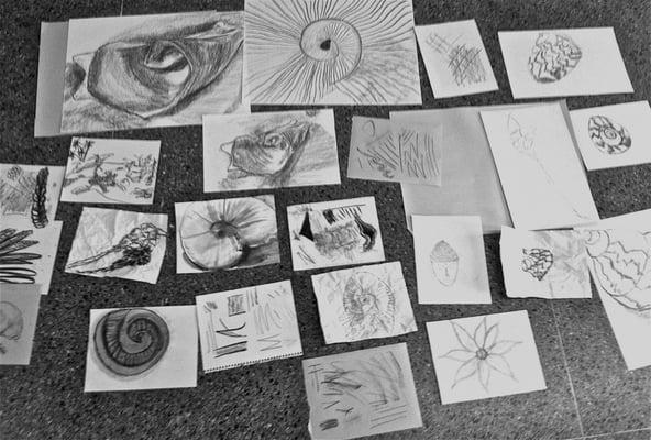 Drawings from multiple students from our Basic Drawing Class!