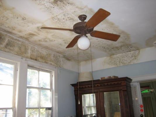 worcester mold damage