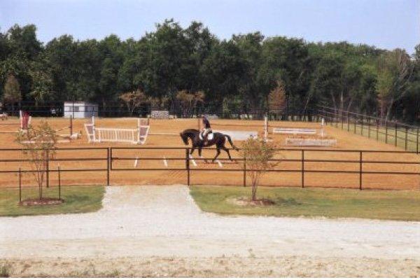 Beautiful indoor and outdoor arenas.