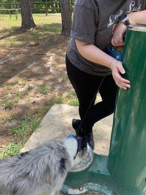 Doggie water fountain outside of park at entrance