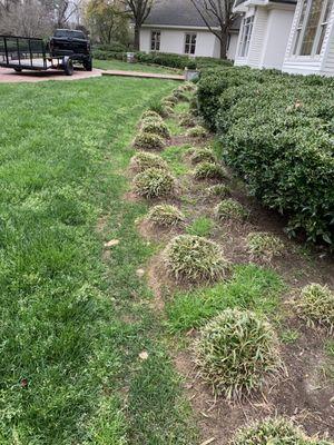 Edging and deweeding is part of my contract.