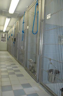 Smitty's Kennels