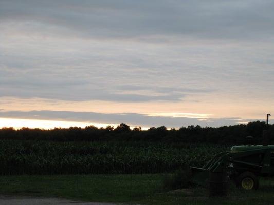 Sunset Over the Cornfield