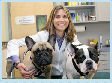 General practitioner and emergency veterinarian at Valley Cottage Animal Hospital since 2005, Dr. Jessica Downing is a co-owner.