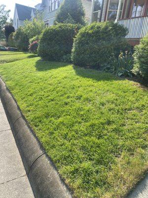 Costumer house in Providence! Lawn cut