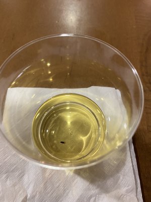 $17 Chardonnay in a tiny plastic cup with a fly. Enjoy.