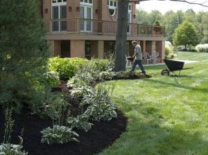 Commercial Landscaping & Lawn Maintenance