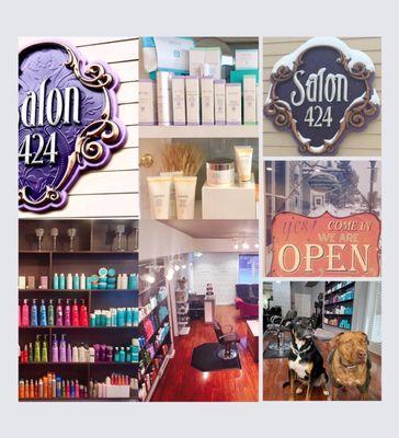 Salon 424