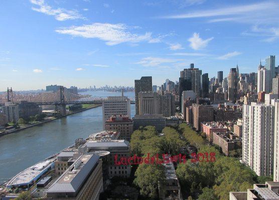 Ariel View from 21st Floor Upper East Side NYC photo Lucinda Lewis Photography 10 October 2017