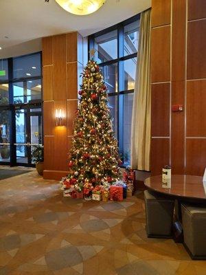 Christmas Tree in lobby