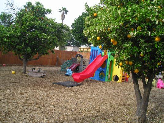 large playground with many trees