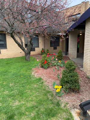 Our beautiful grounds where residents can walk around and enjoy the landscaping.