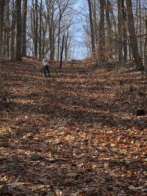 Dismal Harmony Natural Area