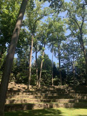 Amphitheater In The Woods