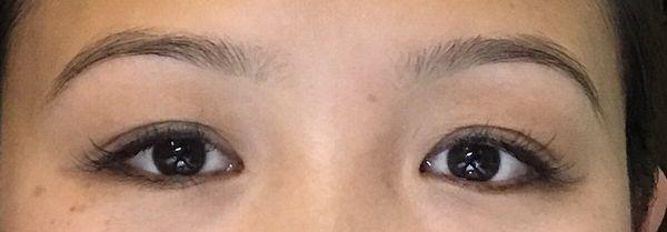 Eye brows did